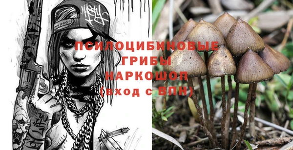 ешки Алзамай