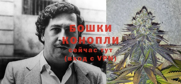 мяу мяу мука Абаза