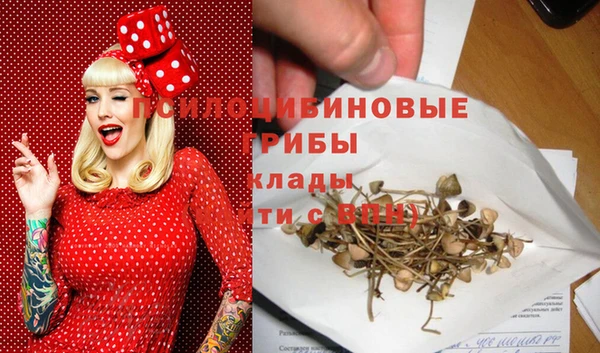 ешки Алзамай