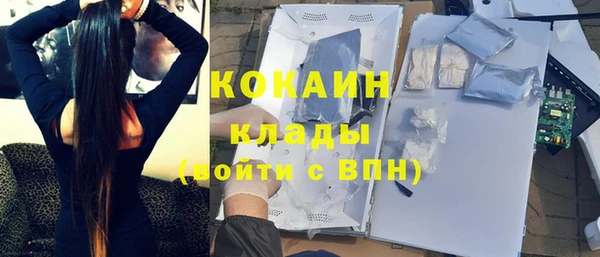 ешки Алзамай