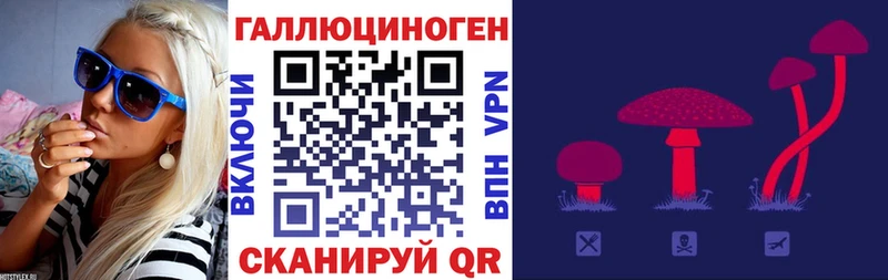 даркнет состав Узловая Псилоцибиновые грибы GOLDEN TEACHER