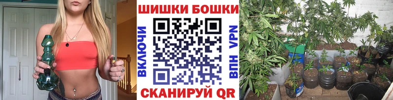 Каннабис конопля Узловая